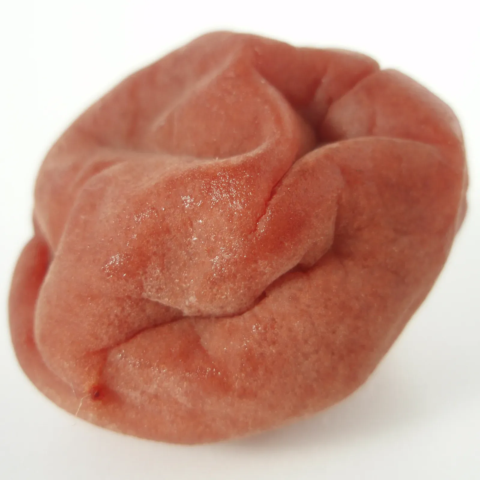 En enda skrynklig röd umeboshi mot vit bakgrund